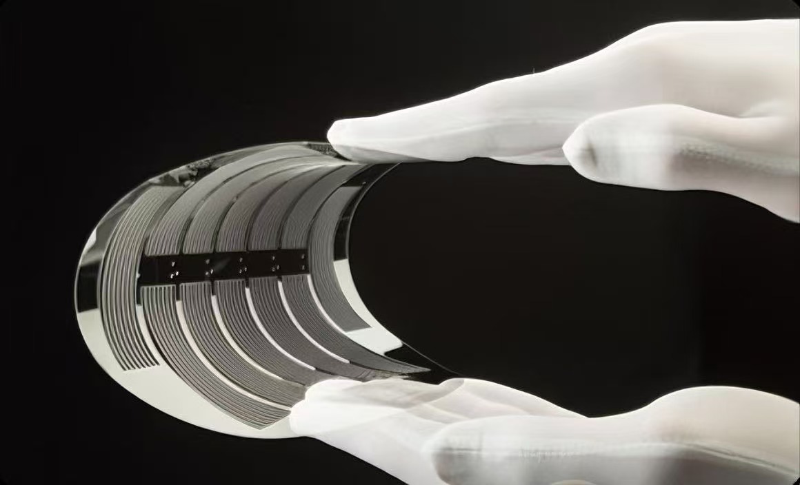 Şüşə vaflilər nədir?