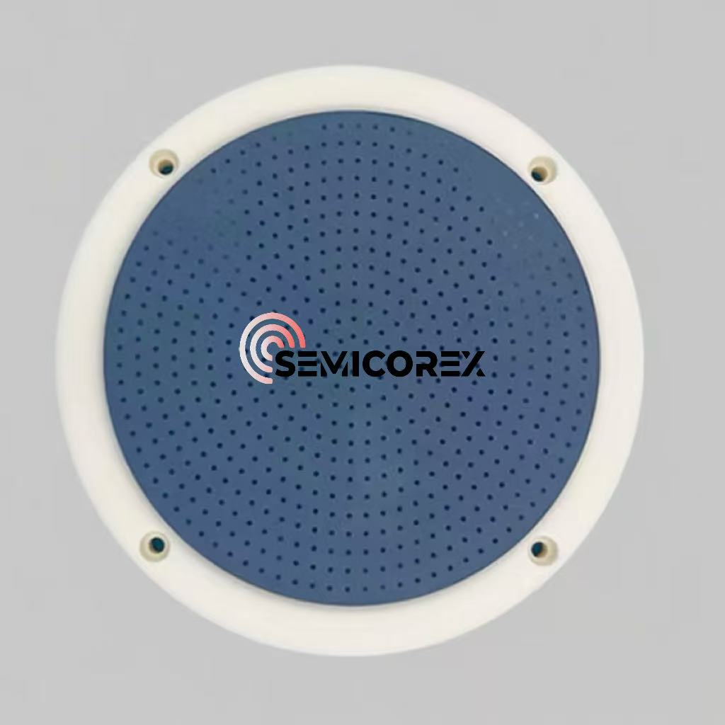 Seramik elektrostatik chucks